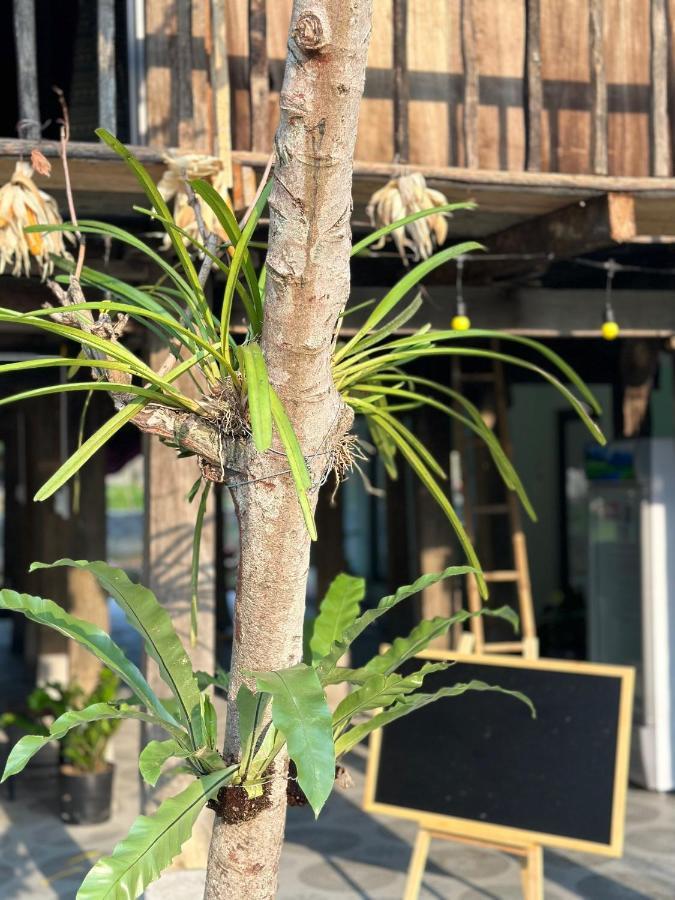 Làng Cac Du Gia Thu'S Homestay מראה חיצוני תמונה