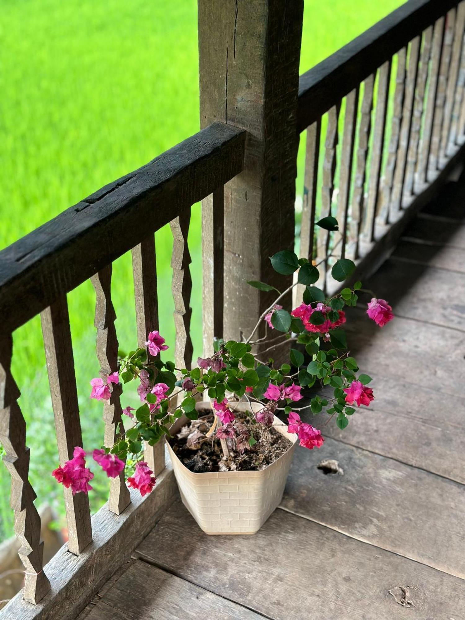 Làng Cac Du Gia Thu'S Homestay מראה חיצוני תמונה